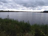 Вабля з panoramio.com