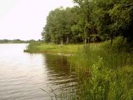 Коти з panoramio.com