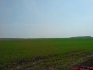 Золоте з panoramio.com