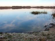 Кузничі з panoramio.com