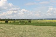 Рясне з panoramio.com - Рясное