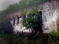 Карпилівка з panoramio.com