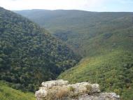 Овражки з panoramio.com