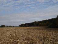 Дзензелівка з panoramio.com - Дзензелевка