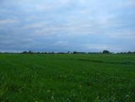 Лосятин з panoramio.com