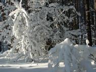 Авдіївка з panoramio.com