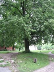 Берездів з panoramio.com