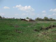 Саранчине з panoramio.com