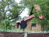 Куровичі з panoramio.com