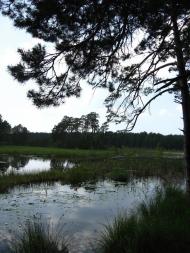 Варварівка з panoramio.com