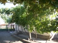 Нове Село з panoramio.com