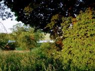 Городище з panoramio.com