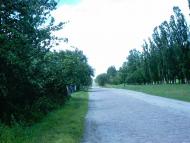 Корнин з panoramio.com