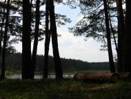 Варварівка з panoramio.com