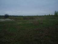 Здвижівка з panoramio.com