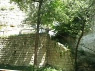 Гораївка - Останні фото