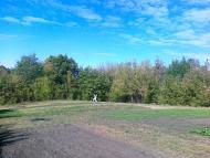 Пії з panoramio.com