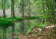 Прокурава з panoramio.com