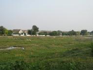 Прямобалка з panoramio.com