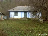 Залісся з panoramio.com