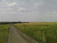 Малахове - Останні фото