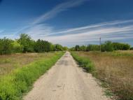 Дружне з panoramio.com