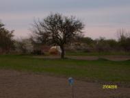 Чайківка з panoramio.com