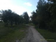 Вихвостів з panoramio.com