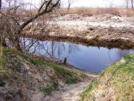 Кардашинка з panoramio.com