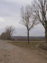 Пологи з panoramio.com