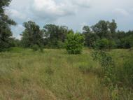 Гавронці з panoramio.com