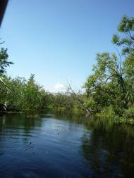 Бучин з panoramio.com