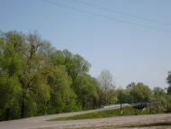 Синівка - Останні фото