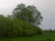 Літочки з panoramio.com