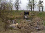 Любимівка з panoramio.com