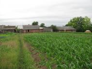 Спасів з panoramio.com