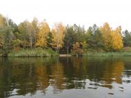 Плюти з panoramio.com