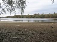 Підліснівка з panoramio.com