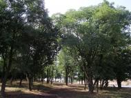 Анадоль з panoramio.com