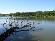 Северинівка з panoramio.com