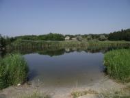 Чунишине з panoramio.com