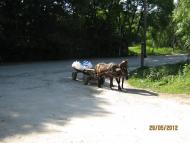 Добрин з panoramio.com