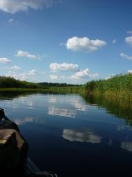 Buchyn - Latest photos