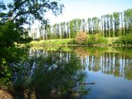 Калінінське з panoramio.com