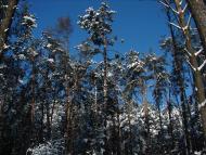 Авдіївка з panoramio.com