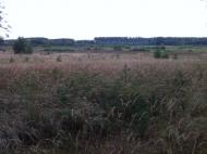 Здвижівка з panoramio.com