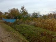 Негринці з panoramio.com