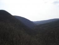 Овражки з panoramio.com