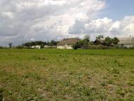 Троща з panoramio.com