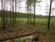 Гончарівське з panoramio.com